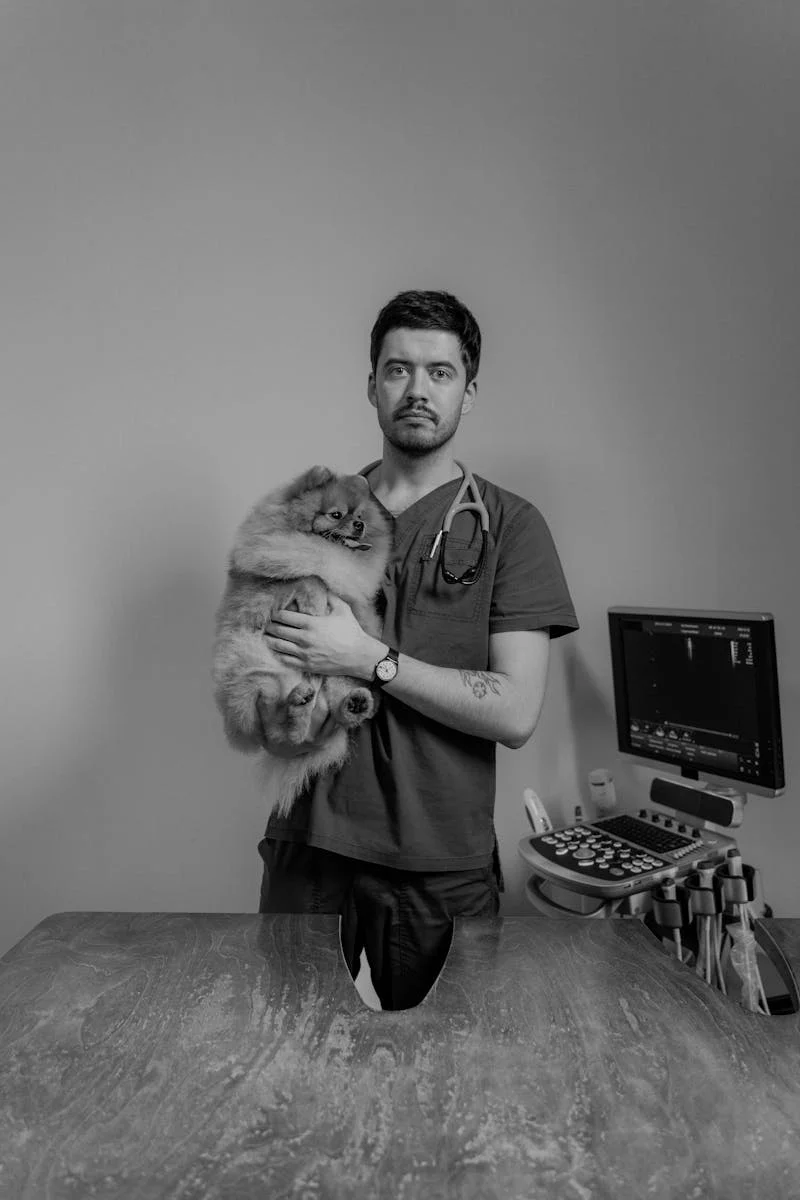 Dr Giu - Medicina Especializada a Animais Silvestres e Exóticos - equipe